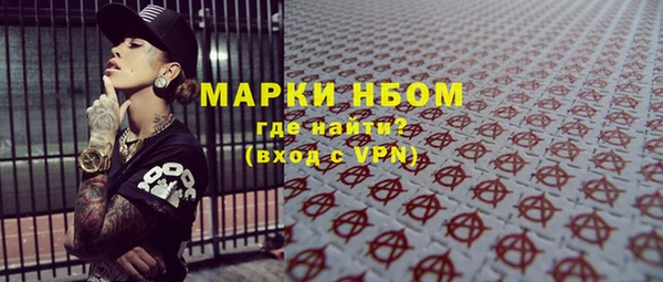 крисы Аркадак