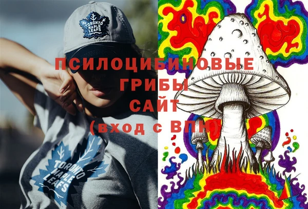 метадон Арсеньев