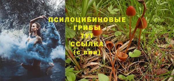 крисы Аркадак